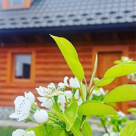 Prázdninový dům Vo Dvore