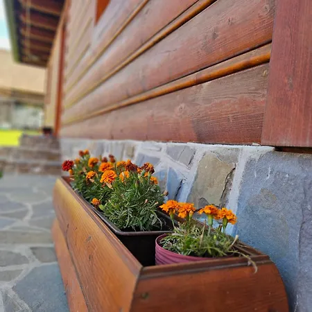 Hébergement de vacances Vo Dvore Osturna