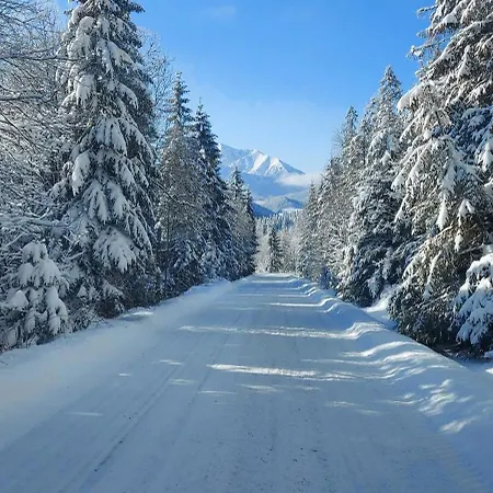 Chalet Vo Dvore *