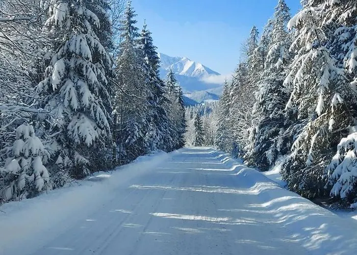 בית נופש Vo Dvore *